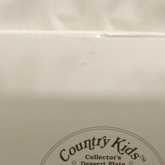 Vintage 1991 Watkins Country Kids Collectors Plate-Org. Recipe Booklet/Box Inc. - Picture 14 of 14